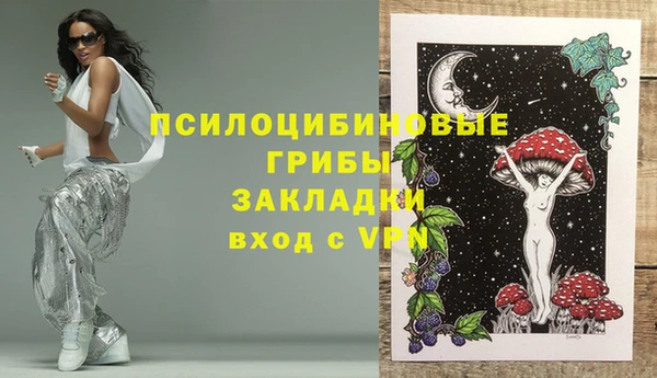 дмт Верея