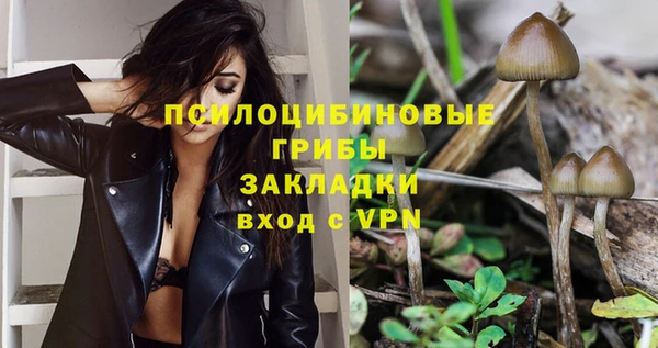 прущая мука Кукмор