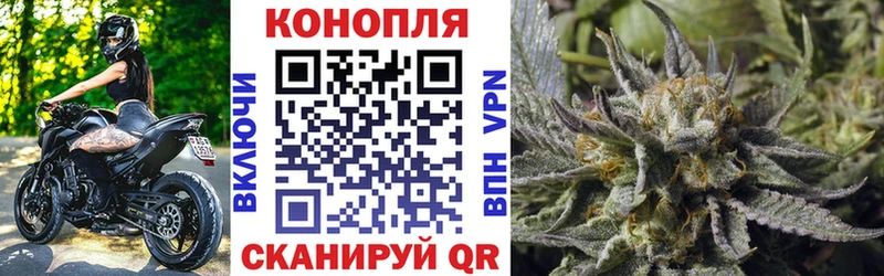 магазин mega онион МАРИХУАНА ГИДРОПОН Ильский